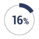 16% of our team