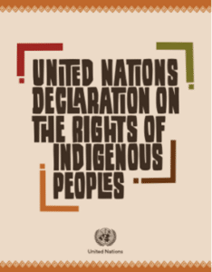 Image of the front cover of the United Nations Declaration on the Rights of Indigenous Peoples (UNDRIP). 